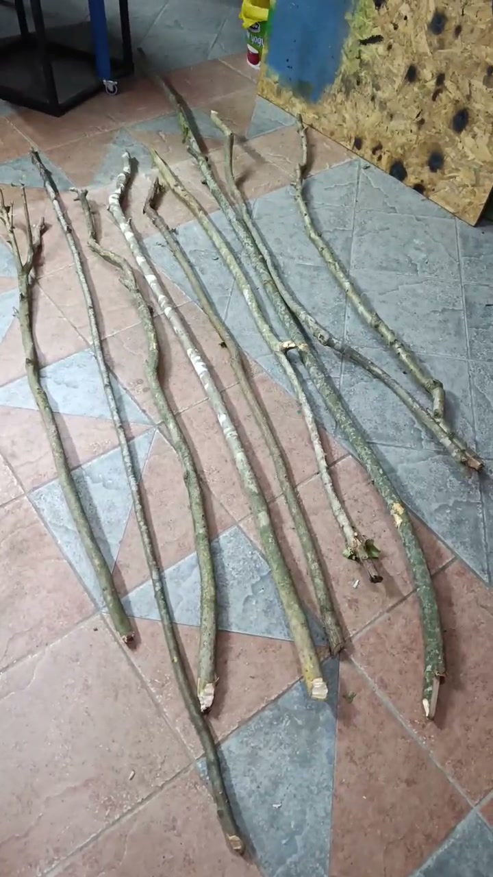 Taç Tezyinatı